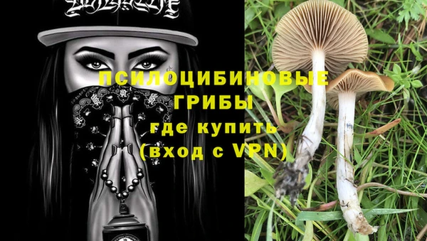 PSILOCYBIN Абаза
