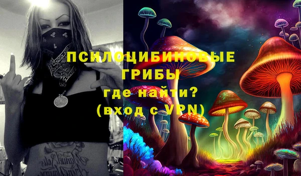 тгк Абинск