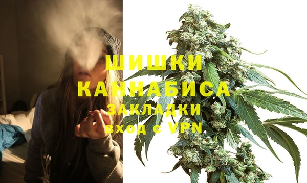 PSILOCYBIN Абаза