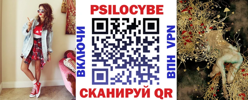 Псилоцибиновые грибы Psilocybe  мега tor  Звенигород 