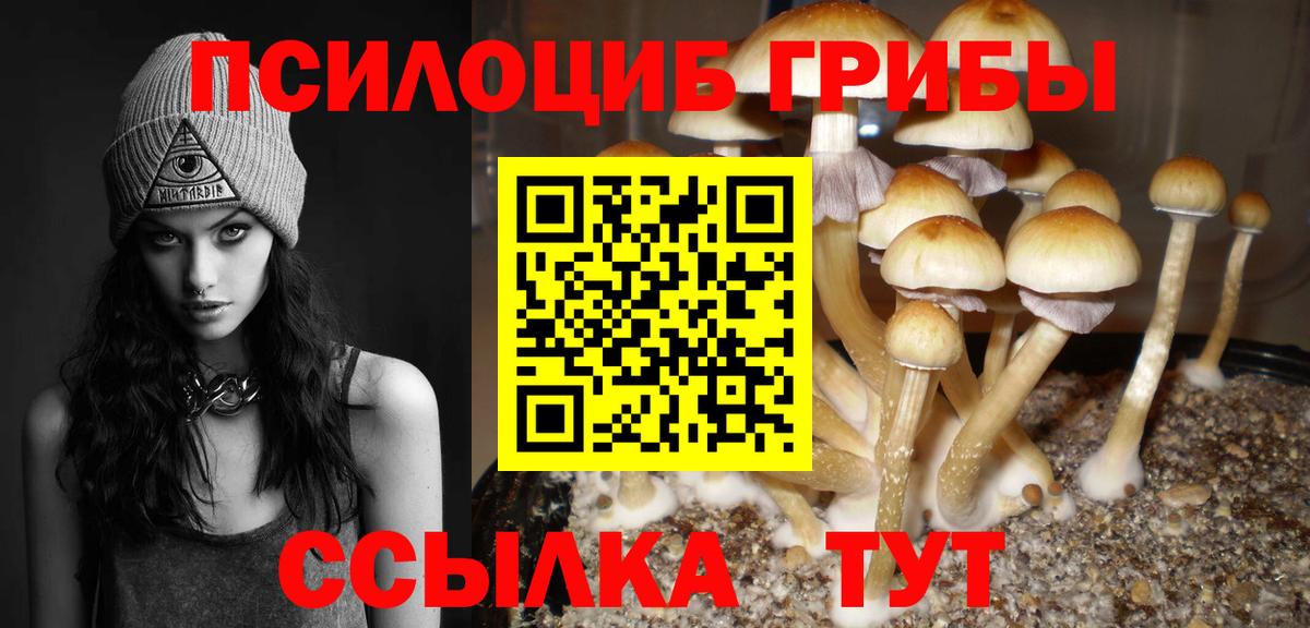 Псилоцибиновые грибы MAGIC MUSHROOMS Звенигород